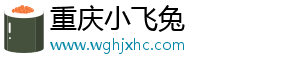 重庆小飞兔
